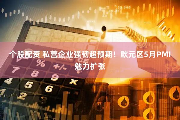 个股配资 私营企业强韧超预期！欧元区5月PMI勉力扩张